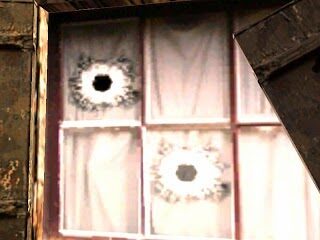 gallery6-3996516