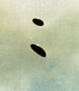 semtc3adtulo-3857230