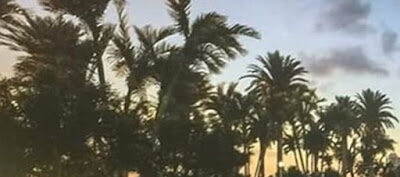 gta-vi-screenshot-foto-vazada-leak-3539408